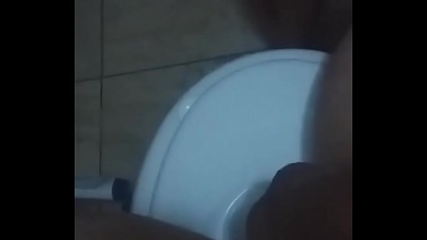 Toilet Sex
